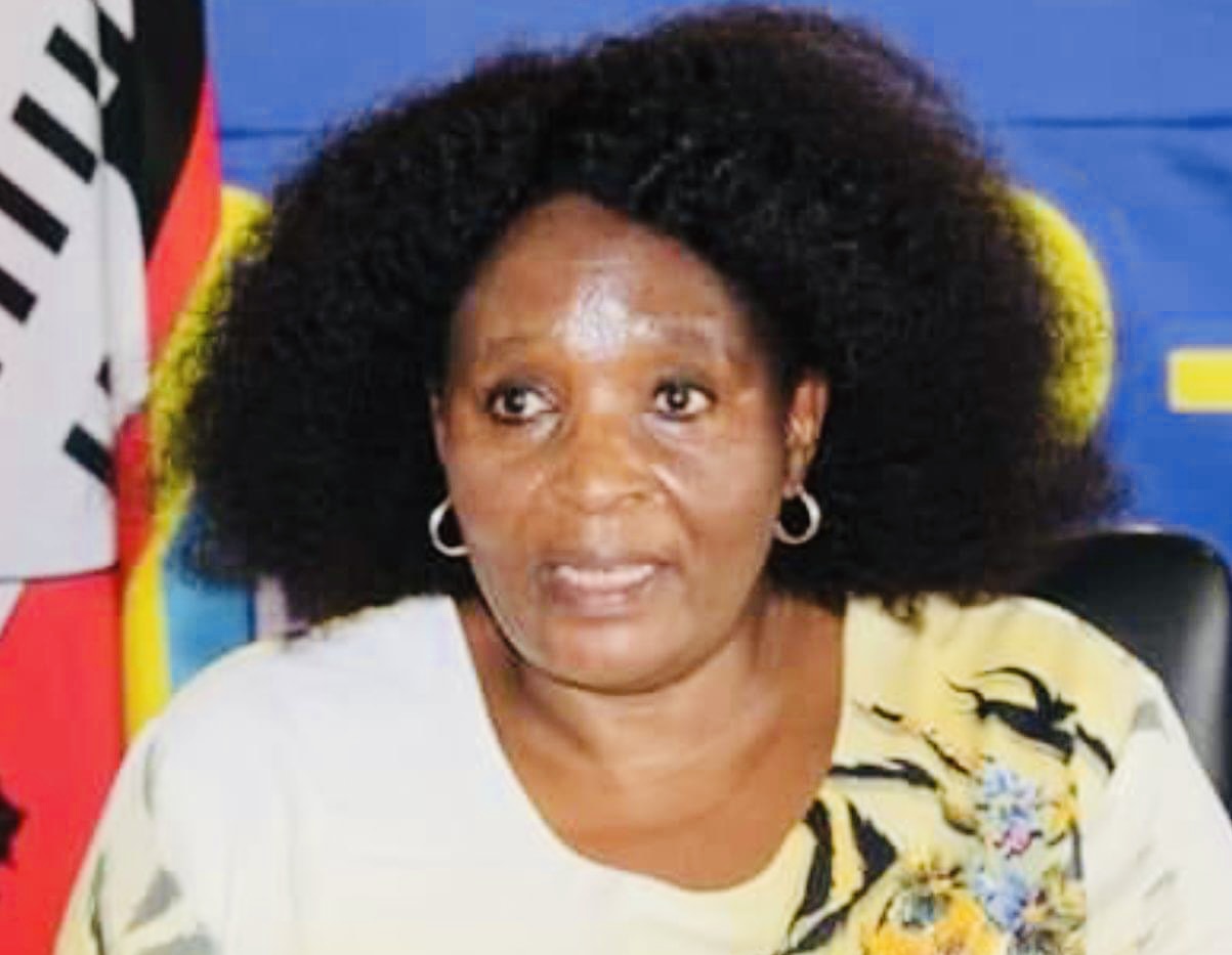 FOREIGN AFFAIRS MINISTER TELLS DIPLOMATS:Human rights lawyer Thulani Maseko killed amid infighting within pro-democracy movement,incarcerated MPs a flight risk.