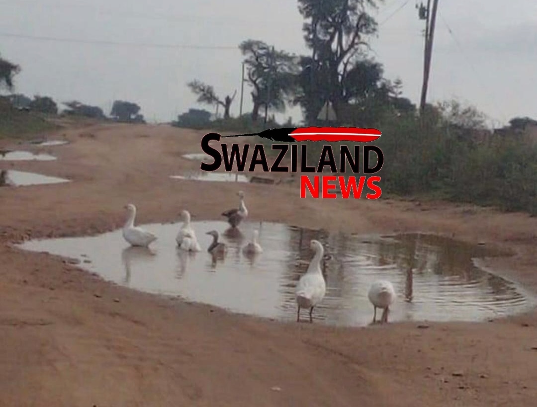 BENEATH MAMBA KINGDOM LOOTED MINERAL RESOURCES:The road to nowhere.