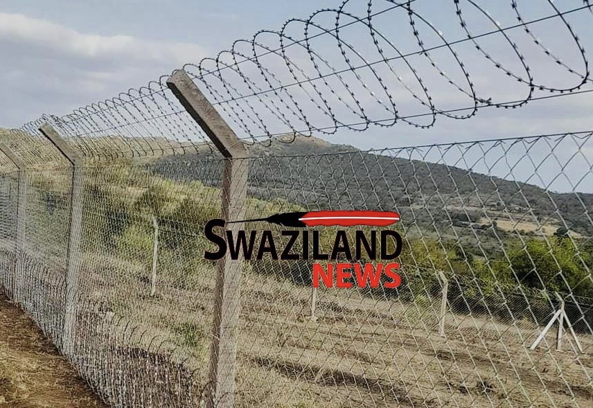 REVEALED:Tindvuna TetiNkhundla demand answers as Treasury Department ‘secretly’ transfers their R10million fencing loans to private companies, Director says “I received  money but…”