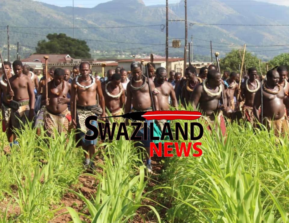 Lawyer Sicelo Mngomezulu urges Mswati to commission emabutfo to fix potholes as part of kuhlehla, King’s Spokesperson rules him off-side.