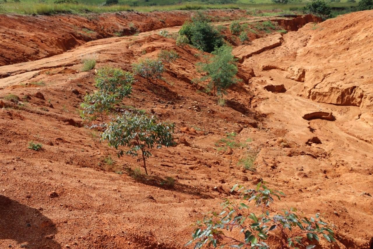 ENVIRONMENT MINISTER MOSES VILAKATI:Eswatini facing serious donga challenges.