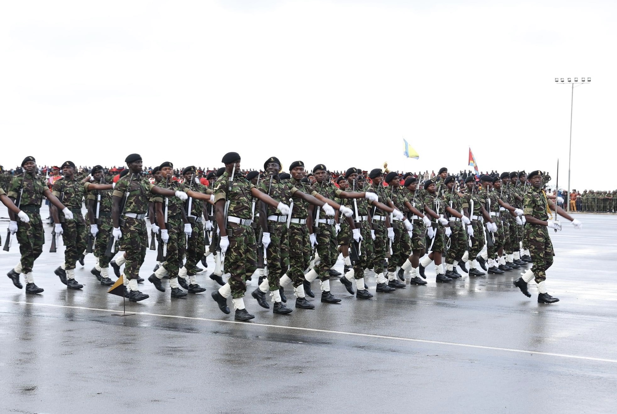 KING MSWATI:Investors consider countries where there’s peace and stability, we encourage you soldiers to fight crime that deter entrepreneurship.