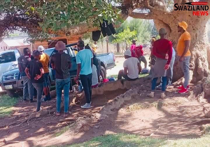 BREAKING NEWS:Ndlinilembi Chief Hynd Dlamini increases costs of “inkhomo yekukhonta” to R35,000.00.