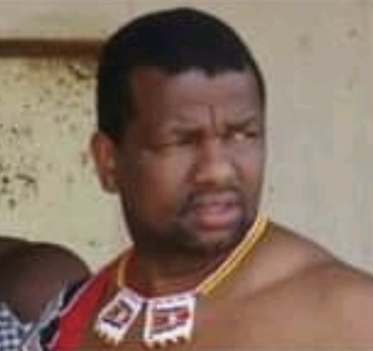   Royal Science and Technology Park employee Senzo Dlamini threatens to shoot SNAT President for calling for democracy.