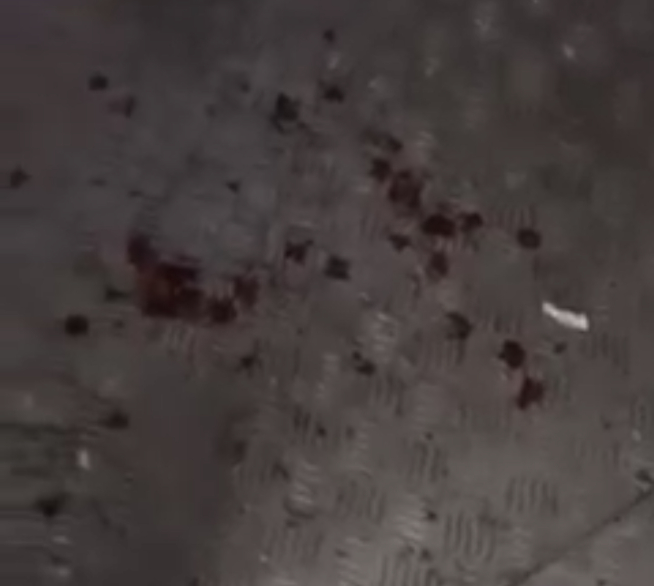 Solidarity Forces fire a hail of bullets at Malangwane Police at night, Commander says it’s the beginning. 