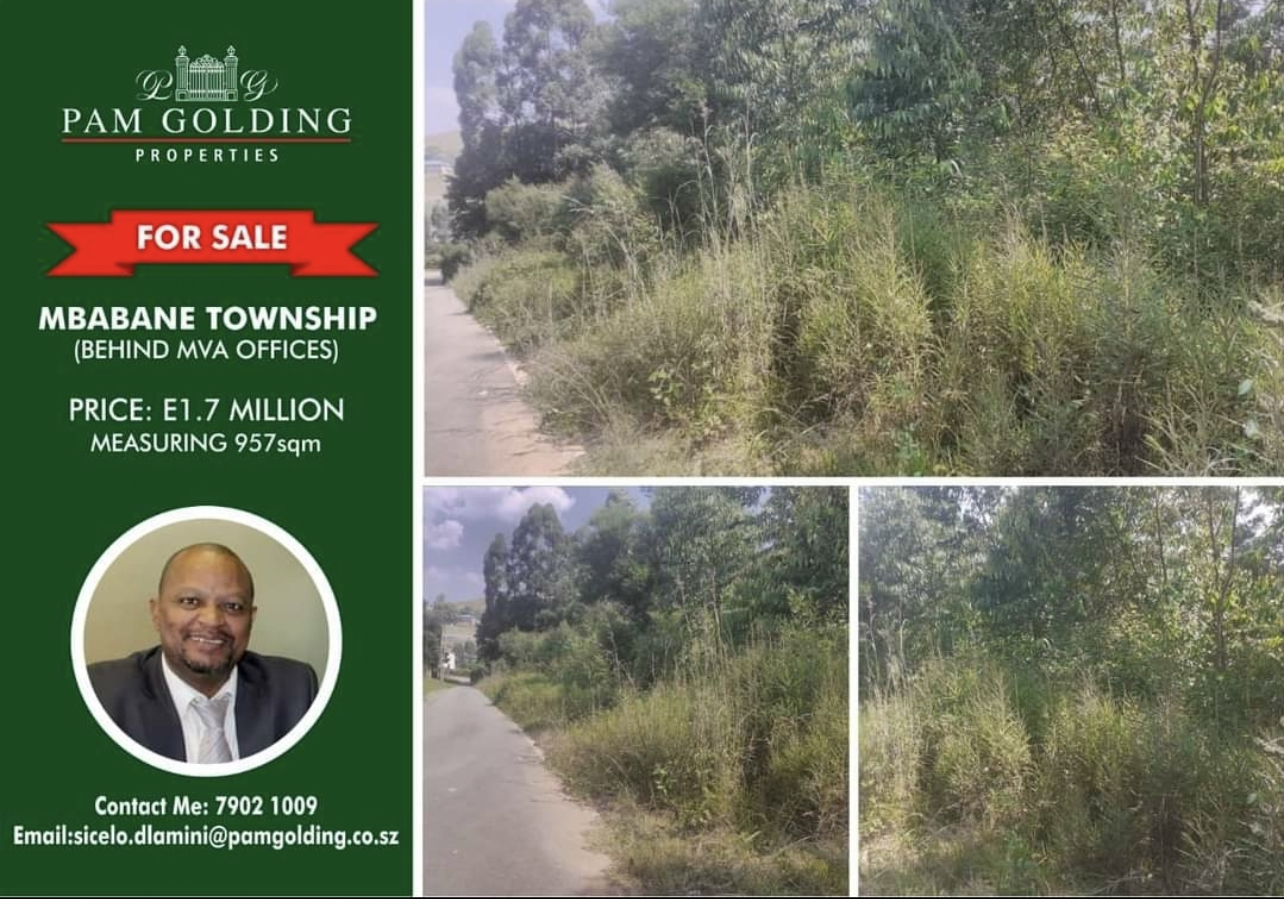 Solidarity Forces demand MP Magawugawu’s return to Parliament, dialogue with PPA, MSF.