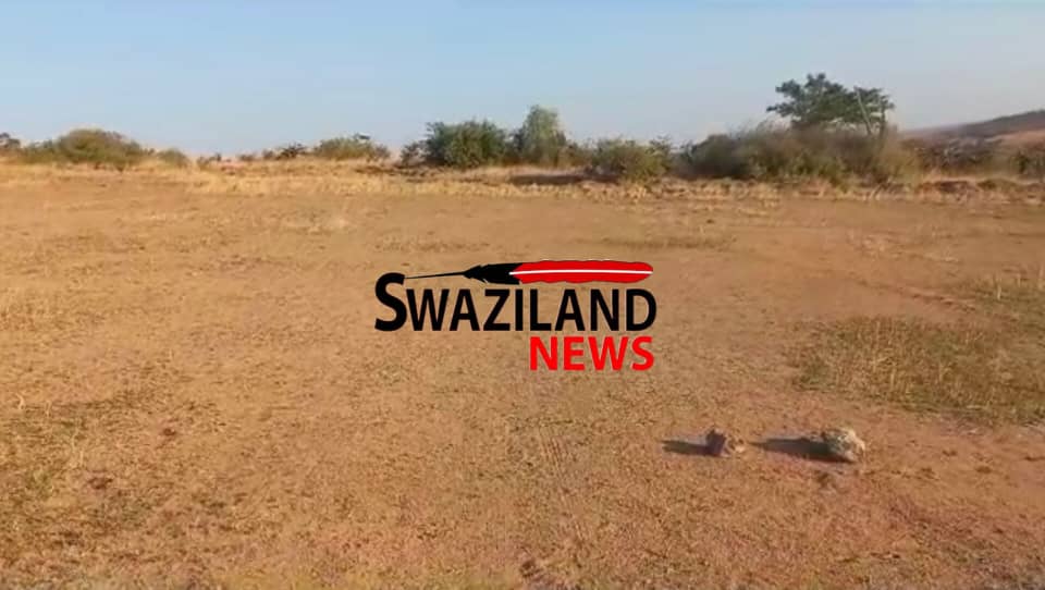 Mkhiweni youth fined a cow by aspiring MP Indvuna Rogers Mamba for rehabilitating soccer field without uMphakatsi’s permission, Communist Party urges young people to target him.