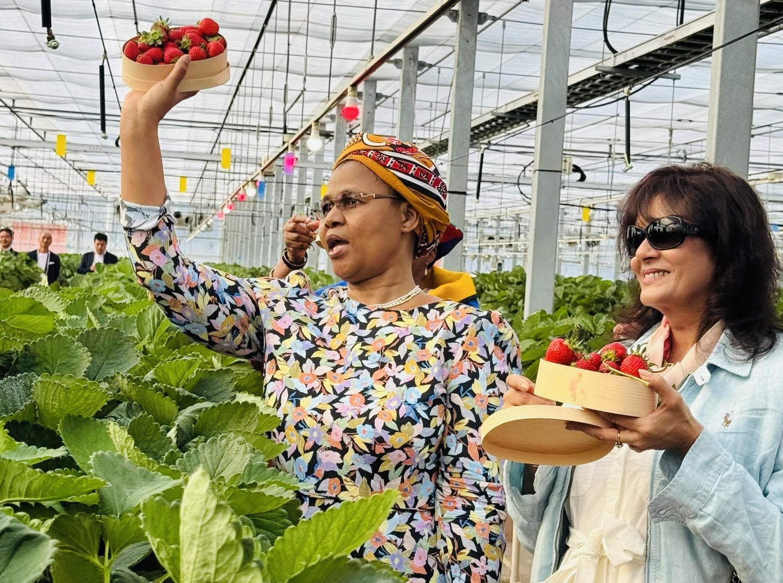 King’s senior wife Inkhosikati LaMatsebula meets Japan First Lady Ishiba Yoshiko, visits strawberry farming project.